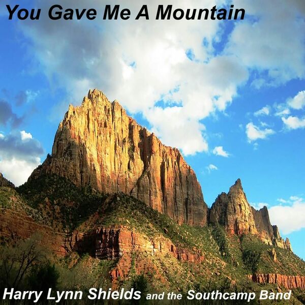 Cover art for You Gave Me a Mountain