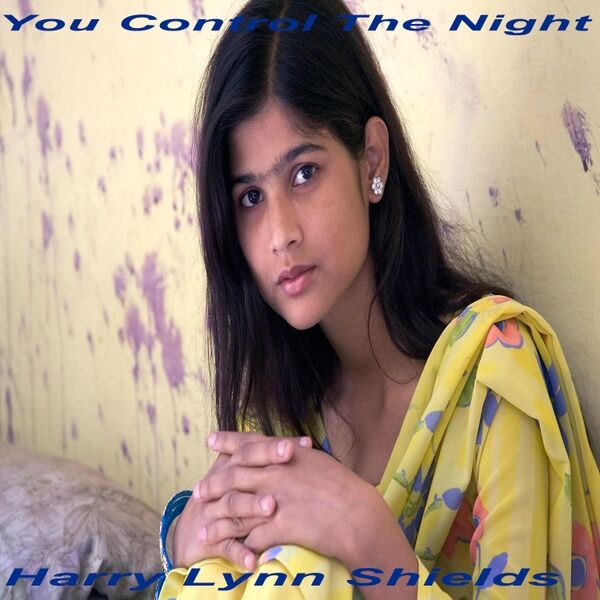 Cover art for You Control the Night